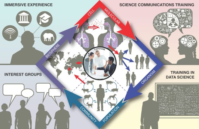 illustration: IDEAS program (research, training, coursework, professional development, etc)